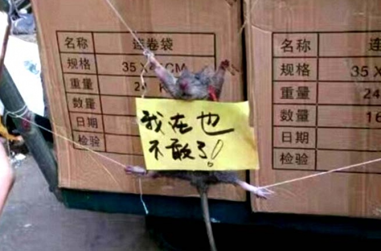 މީދަލަކަށް ވިޔަސް މިވަރު ކޮށްލާކަށް ނުވާނެ