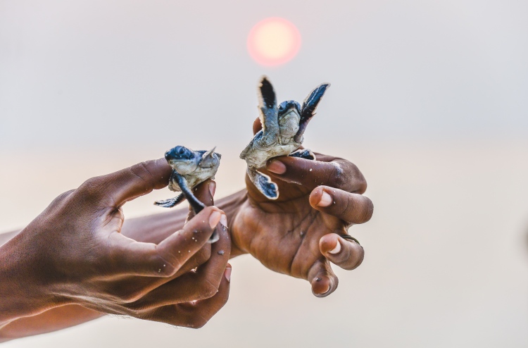 ވެލާ ކަހަނބަށް ފަރުވާ ދޭން ހާއްސަ ސެންޓަރެއް