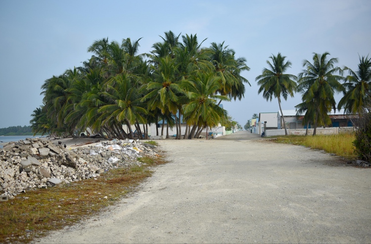 ހޯރަފުށީ ގެއަކުން ލައްކައަކަށް ވުރެ ގިނަ ރުފިޔާ ވަގަށް ނަގައިފި