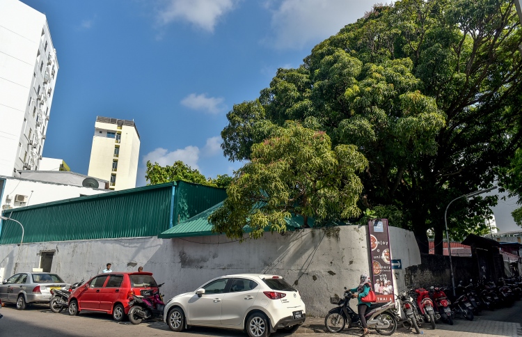 19 ބިން ވިއްކަނީ އަކަފޫޓެއް 15،000ރގެ ރޭޓުން