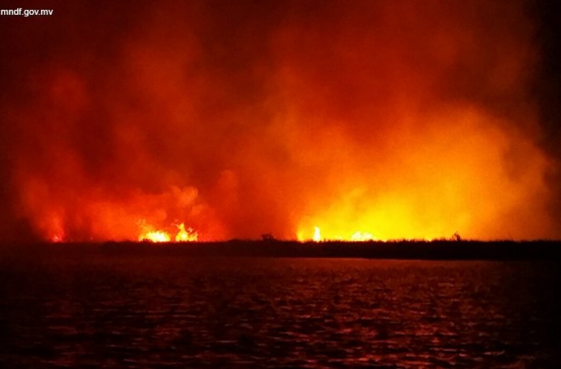 ފުވައްމުލަކުގެ ޗަސްބިމުގައި އަނެއްކާ ވެސް ރޯވެއްޖެ