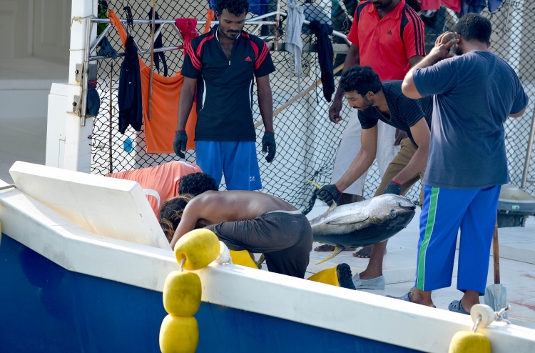 ލޭނު މަސްވެރިކަން ތައާރަފްކޮށް، ތަމްރީނު ދެނީ