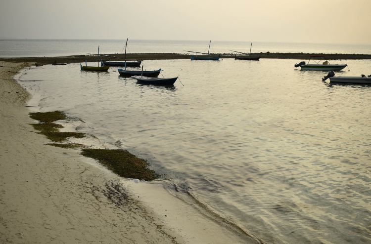 މޮޅަދޫ ޕްރޮފައިލް