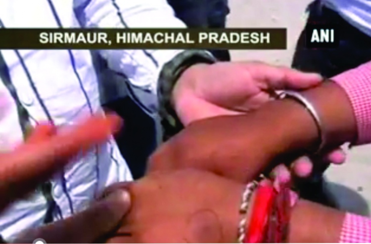 34 ފަހަރު ހަރުފަ ވިހަލުމުން ވެސް ސަލާމަތްވި ކުއްޖެއް