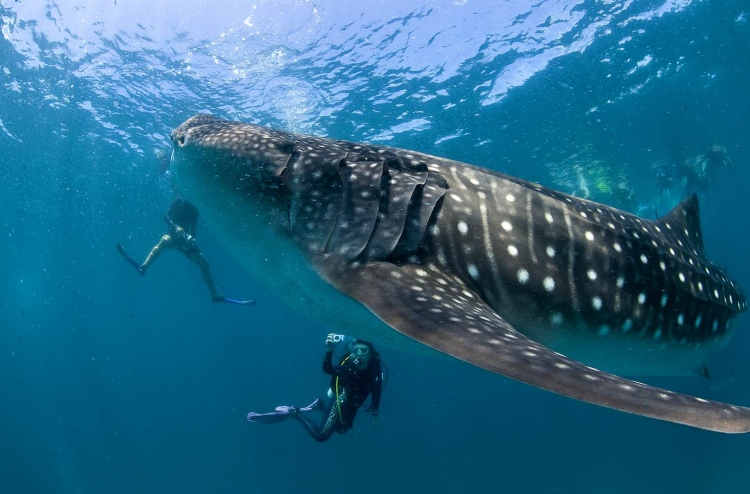 ރާއްޖޭގައި ފެހުރިއްސަށް ގޯނާކުރުން އިތުރުވޭ: މިނިސްޓަރު