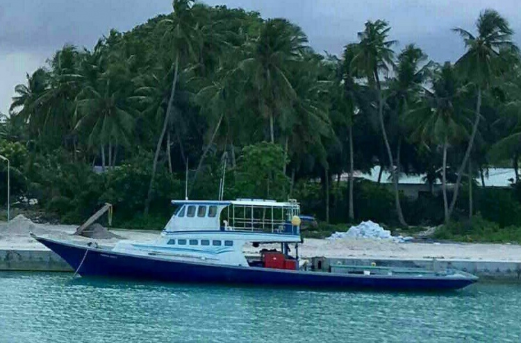 "ބްލޫ ފިޝް" ދޯނި ފެނިއްޖެ