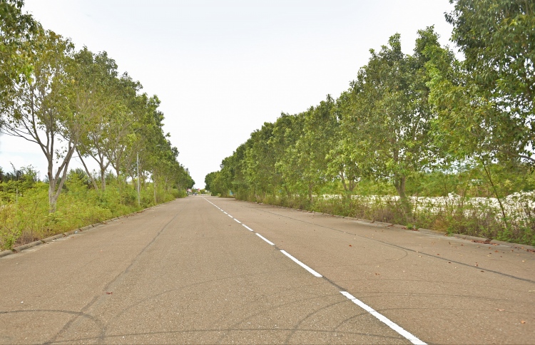 ވެމްކޯގެ ވެހިކަލަކުން ޖެހި ކުޑަކުއްޖަކު ޒަހަމްވެއްޖެ