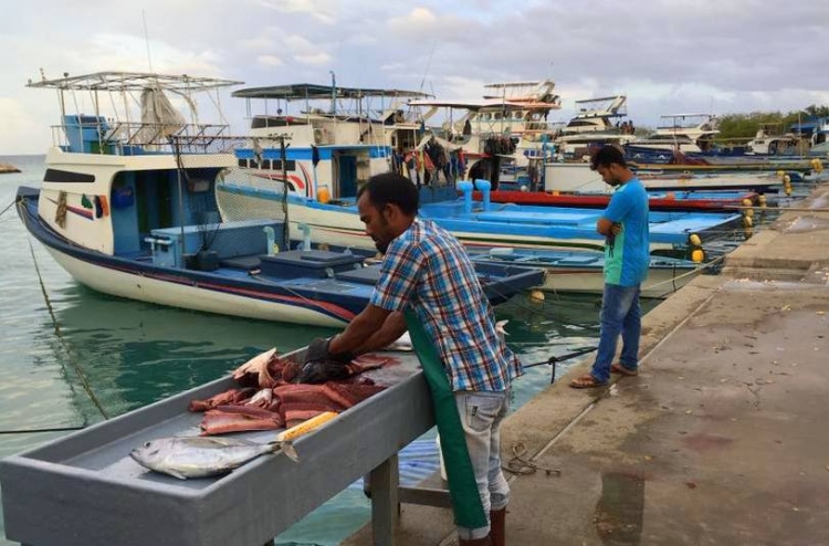 މަރަދޫ ކަންނެލި ދޯންޏެއްގެ ޚަބަރެއް ނުވެގެން ހޯދަނީ