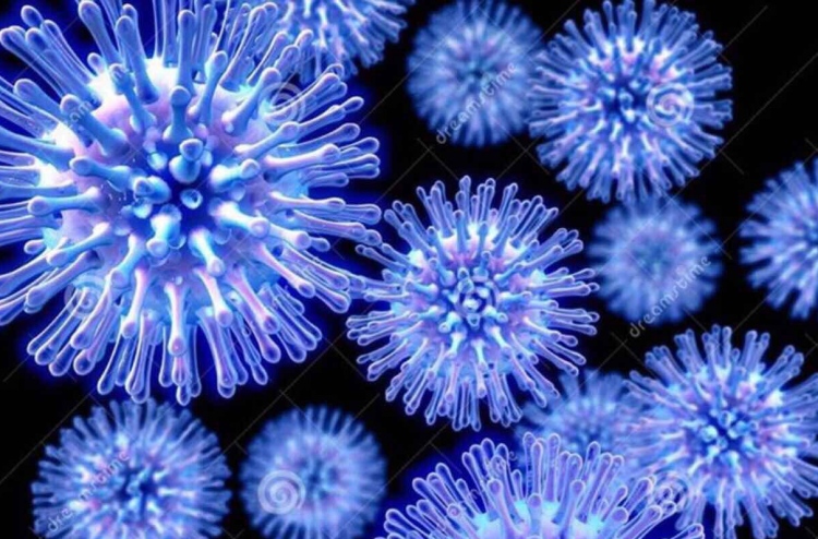 އިންފުލުއެންޒާ ވައިރަހާއި އޭގެ ހަގީގަތް