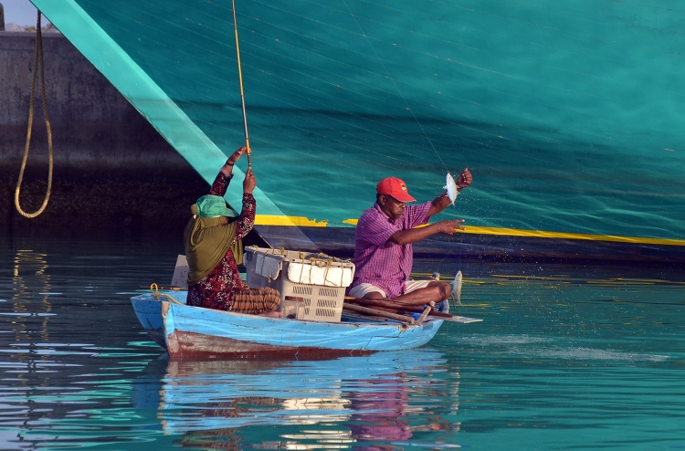 އެންމެ ބޮޑު އާމްދަނީއެއް ލިބެނީ ފ. އަތޮޅު މީހުންނަށް