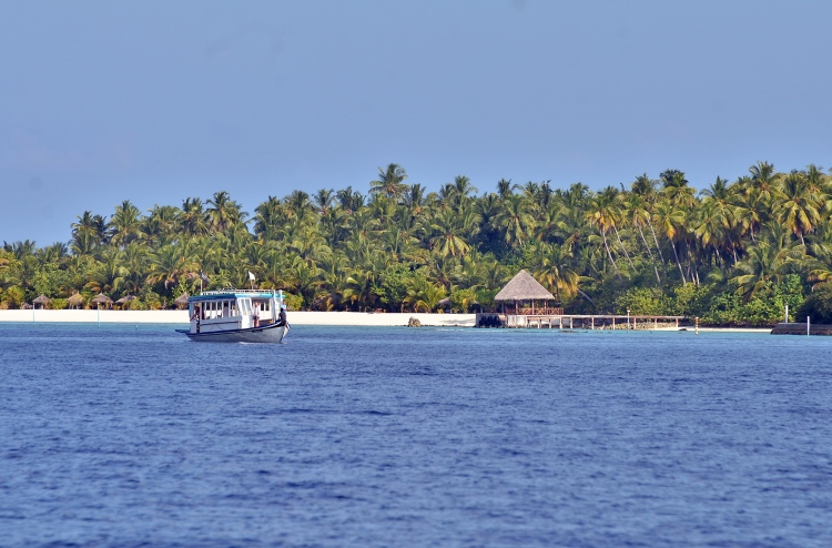 މައްސަލައަކީ ކޮބައިތޯ؟