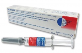 ސްވައިން ފްލޫ ވެކްސިން