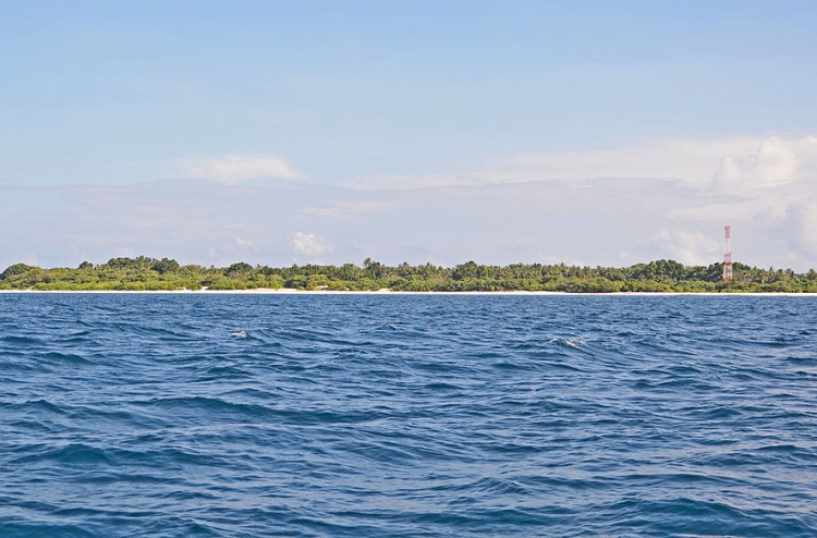 ގެސްޓްހައުސް ތަރައްގީކުރަން މުރައިދޫން ބިމެއް ދެނީ