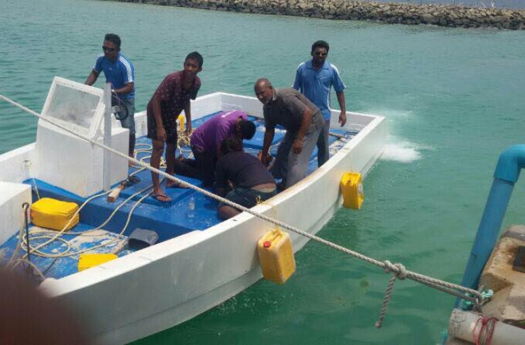 ޑިންގީ އަކުން ޖެހި މާކުރަތުގެ ޒުވާނަކު މަރުވެއްޖެ