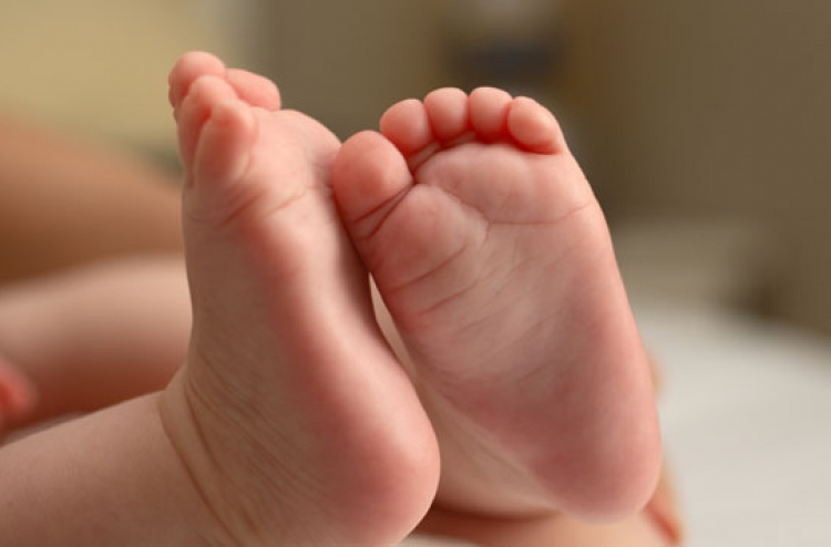 ކައިރިކައިރީގައި ތުއްތު ފަސް ކުއްޖެއްގެ މަރު!