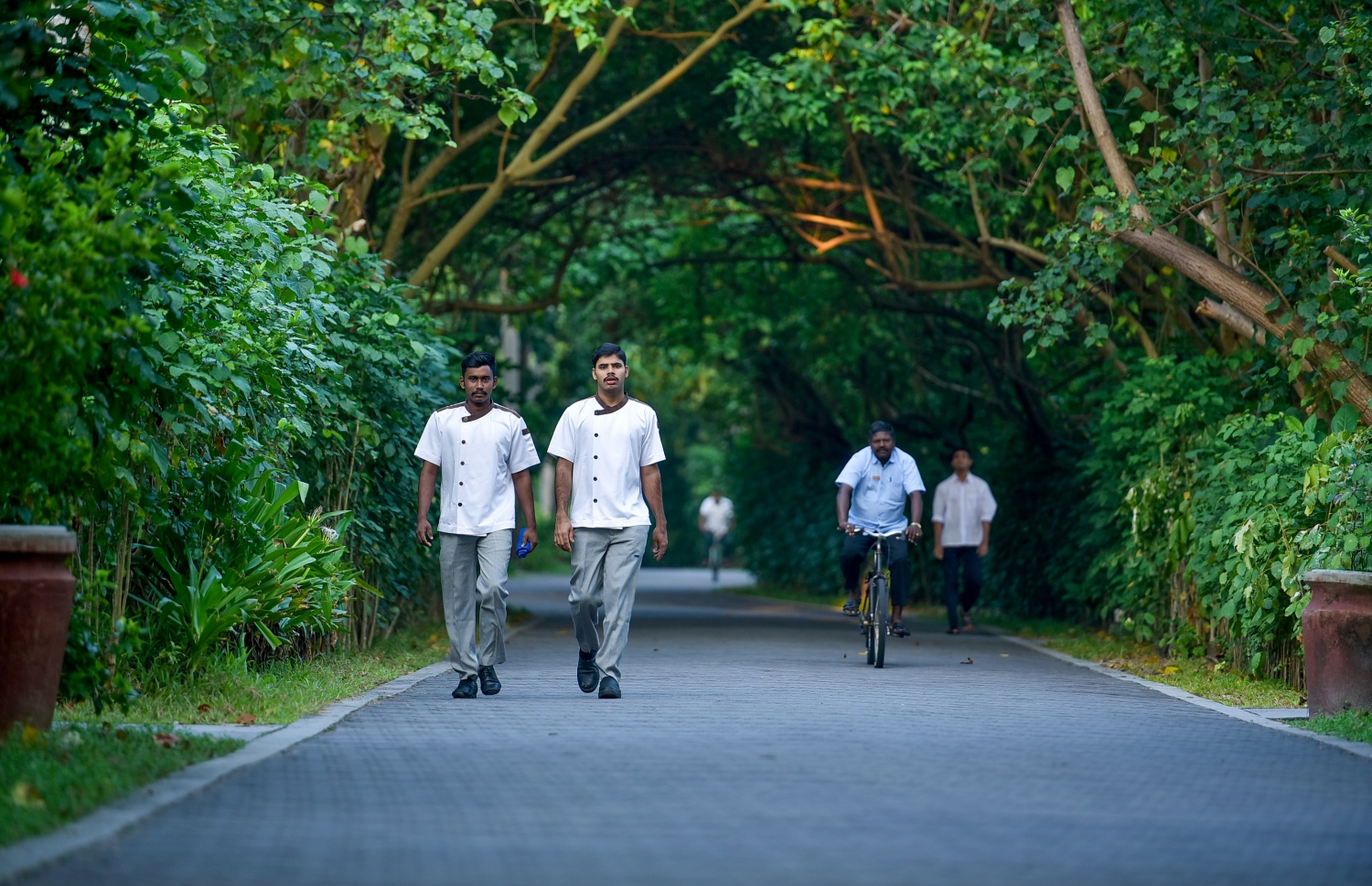 ސަން އައިލެންޑްގެ ބައެއް މުވައްޒަފުން އެ ރިސޯޓުގެ ފެހި މަގަކުން ހިނގާފައި އަންނަނީ -- ފޮޓޯ: ނިޝާން އަލީ/ މިހާރު