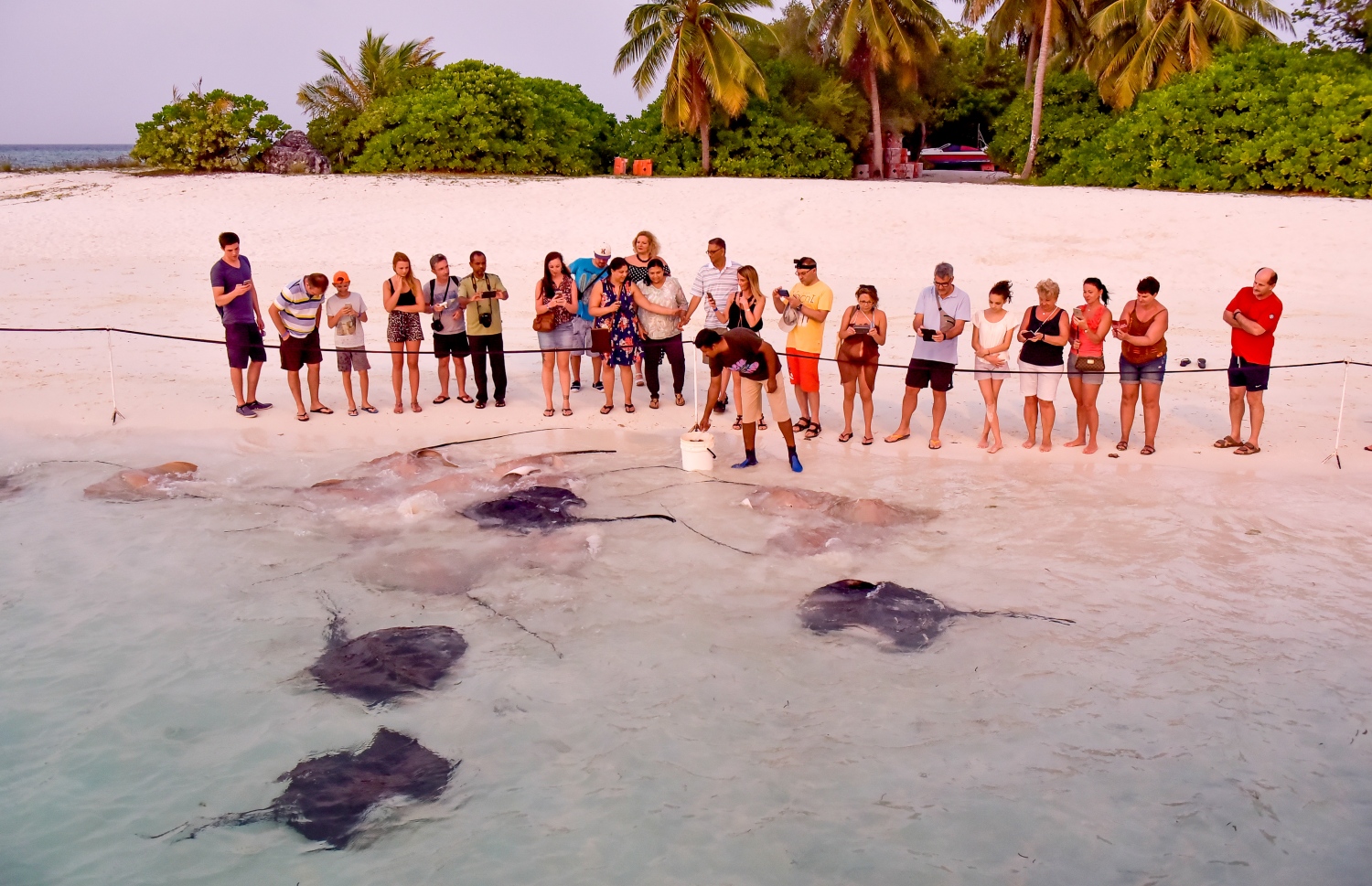 ސަން އައިލެންޑް ރިސޯޓުގައި ޓޫރިސްޓުންތަކެއް މަޑިތަކަށް ކާންދޭތަން ބަލާލުމަށް ޓޫރިސްޓުންތަކެއް މޫދުކައިރީގައި މަޑުކޮށްލައިގެން-- ފޮޓޯ: ނިޝާން އަލީ/ މިހާރު