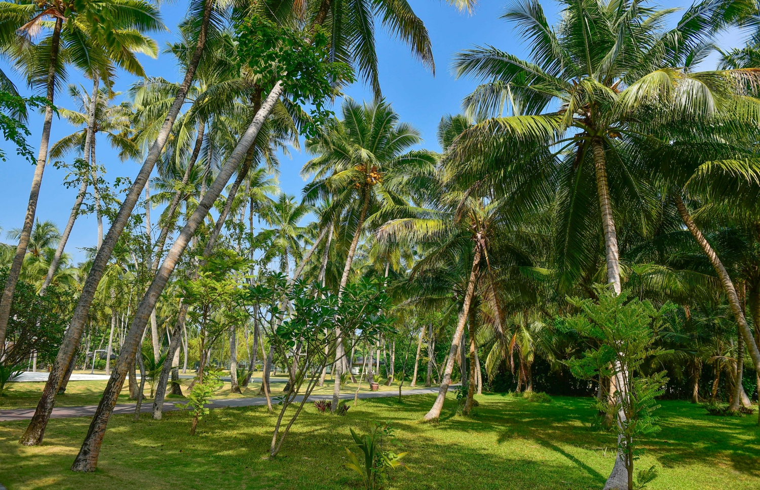 ސަން އައިލެންޑްގެ ހިތްގައިމު ސަރަހައްދެއް: ޓޫރިސްޓުންނަށް އެންމެ ކަމުދާ އެއް ސަރަހައްދަކީ މިއީ -- ފޮޓޯ: ނިޝާން އަލީ/ މިހާރު