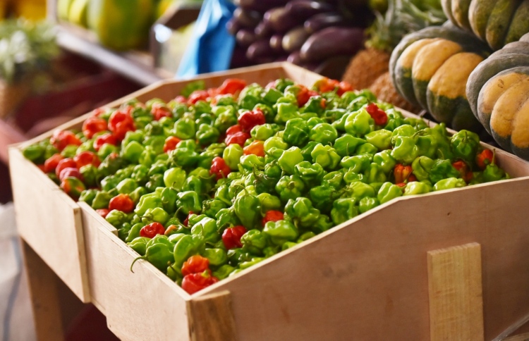 ބާޒާރުން ރޯމިރުސް ހުސްވެއްޖެ