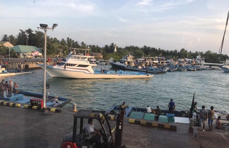 ކޫއްޑޫއަށް ނުކިރުވިގެން 50 ޓަނުގެ މަސް އުކާލައިފި