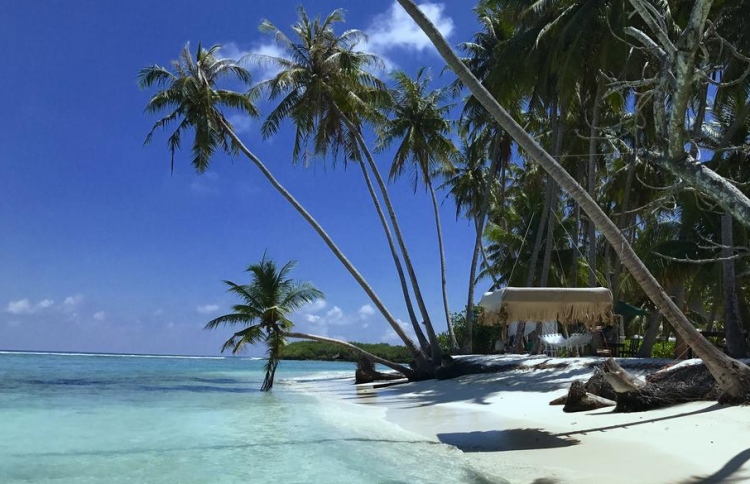 ތުުލުސްދޫގައި ކްރިސްމަސް ފާހަގަކުރުން މަނާ: ކައުންސިލް