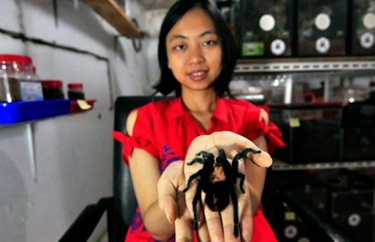 ގޭގައި 1،500 ފައިދިގު މަކުނު ގެންގުޅޭ މީހެއް