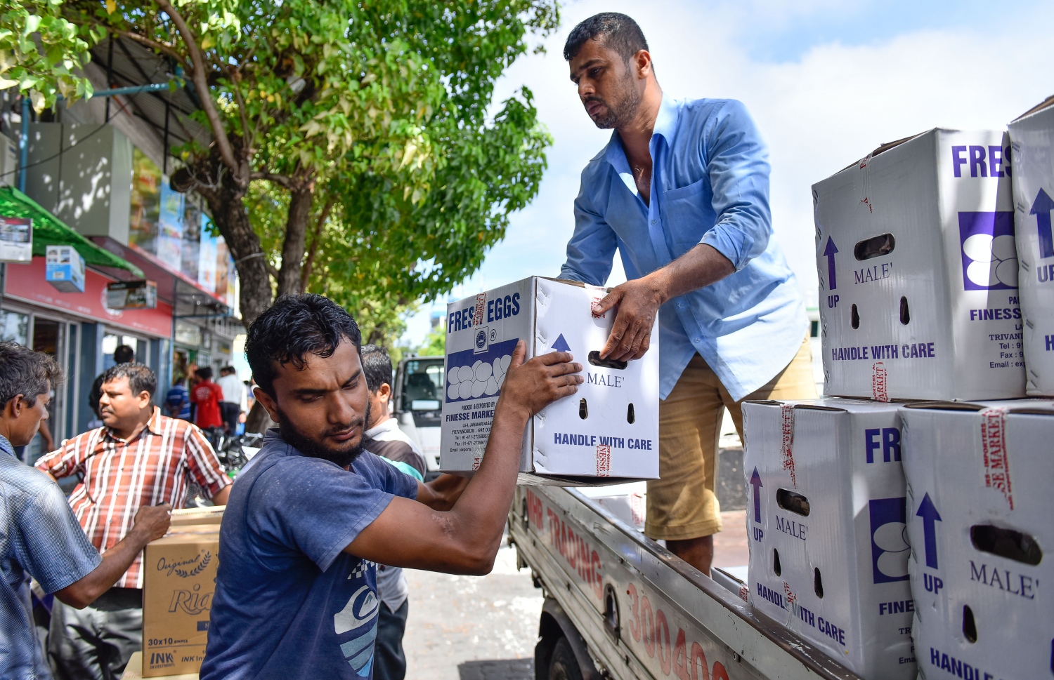 ލޮރިއަކުން ބިސްތަކެއް ބާލަނީ: ބިސް ކޭހެއްގެ އަގު މިހާރު ވަނީ 300ރ. އަށް އުފުލިފައި. ފޮޓޯ: ނިޝާން އަލީ /މިހާރު