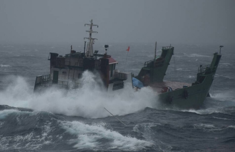 ދޫކޮށްލާފައިވާ ކޮޅުވެއްޓި ސަލާމަތްކުރަން ޓަގެއް ގެނެސްފި