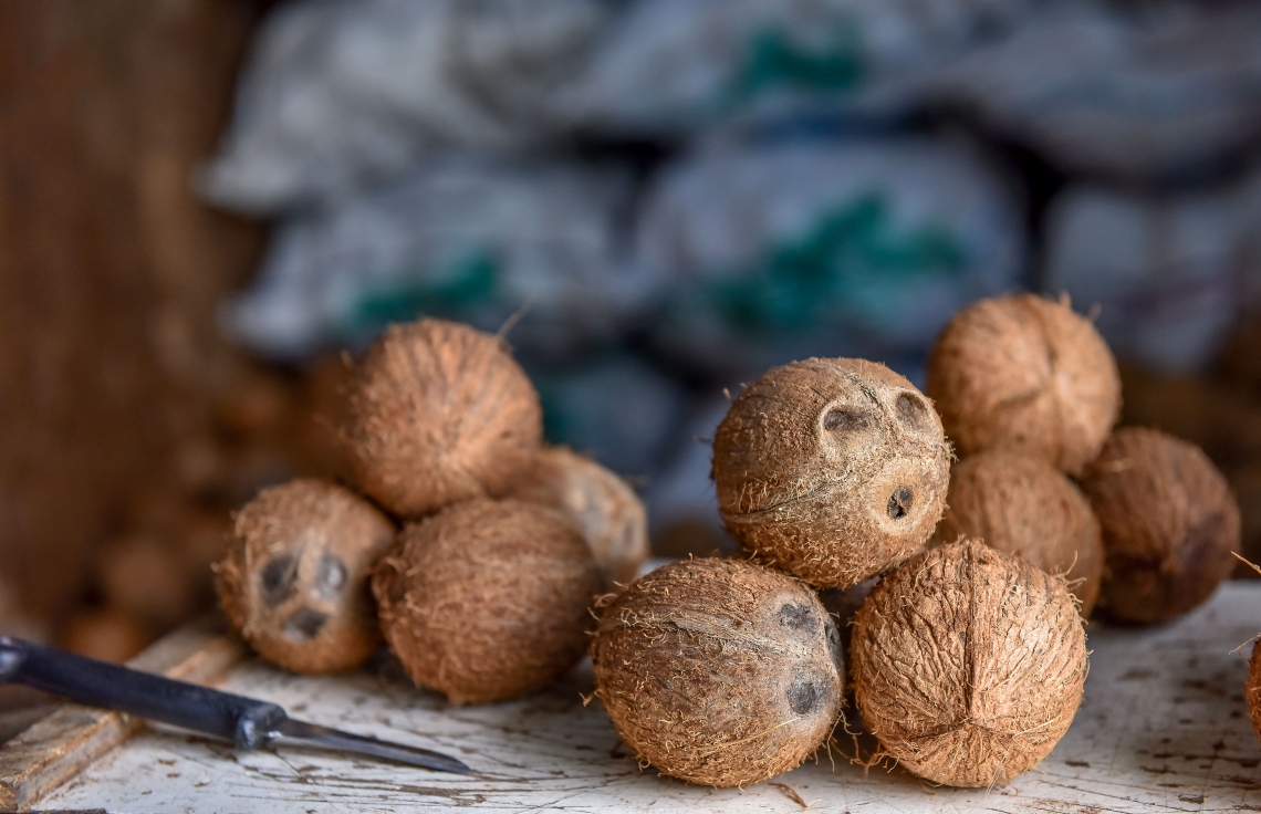 މާލެ: މޭ 22، 2017: ލޯކަލް މާރުކޭޓުގައި ބަހައްޓާފައި ހުރި ކާށިތަކެއް: ކާއްޓެއްގެ އަގު މިހާރު 25ރ. އަށް އުފުލިފައި. ފޮޓޯ: ނިޝާން އަލީ /މިހާރު