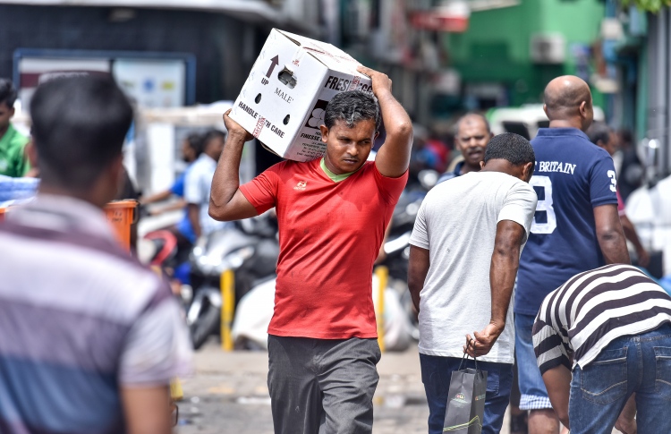 ރޯދަ އަށް ފިޔާ، އަލުވި އަދި ބިސް ވިއްކަންފަށައިފި