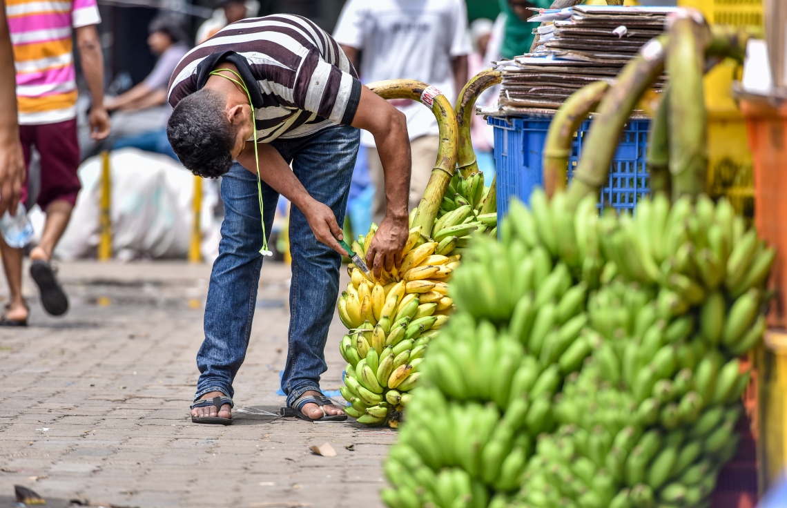 މާލެ: މޭ 22، 2017: ލޯކަލް މާރުކޭޓުގައި ވިއްކަން ބަހައްޓާފައި ހުރި ދޮންކެޔޮގަނޑެއް މީހަކު ބަލަނީ.-- ފޮޓޯ: ނިޝާން އަލީ /މިހާރު