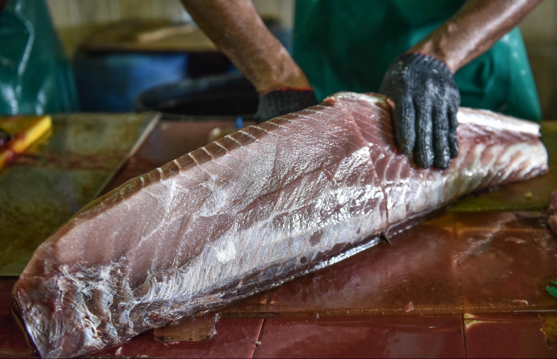 މާލެ: މޭ 22، 2017: މަސް މާރުކޭޓުގައި މީހަކު ބޮޑު ކަންނެލި މަހެއް ކަނޑަނީ--. ފޮޓޯ: ނިޝާން އަލީ /މިހާރު