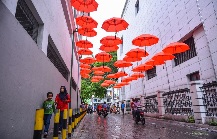 ލިލީމަގުގެ މަތީގައި އޮރެންޖު ކުޑަތަކެއް!؟