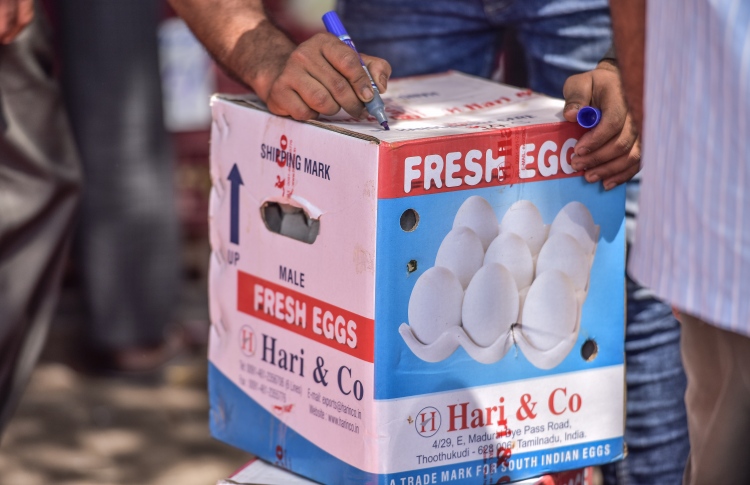 ފަސް ގައުމަކުން ކުކުޅު ބިސް އެތެރެނުކުރަން އެދެފި