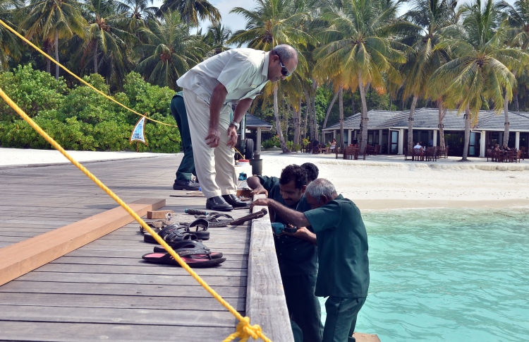 ޑީޑީގެ މެސެޖް: ކުރިއެރުން ބޭނުންތަ؟ ގުރުބާނީއެއް ވޭ!