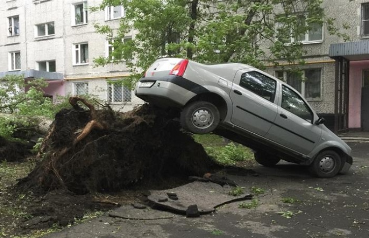 ރަޝިޔާ އަށް އެރި ތޫފާނުގައި ގަހެއް މުލުން ފުރޮޅާލި އިރު ކާރެއް ހިއްލިފައި. --ފޮޓޯ:ރޮއިޓާސް