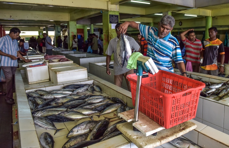 މަހުގެ އަގު އިންތިހާއަށް އުފުލިއްޖެ