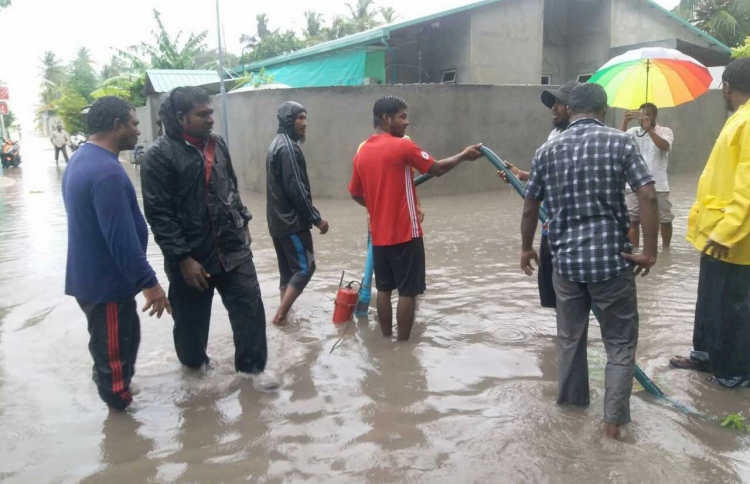 ވިއްސާރައިގައި އުލިގަމަށް ބޮޑެތި ގެއްލުންތަކެއް