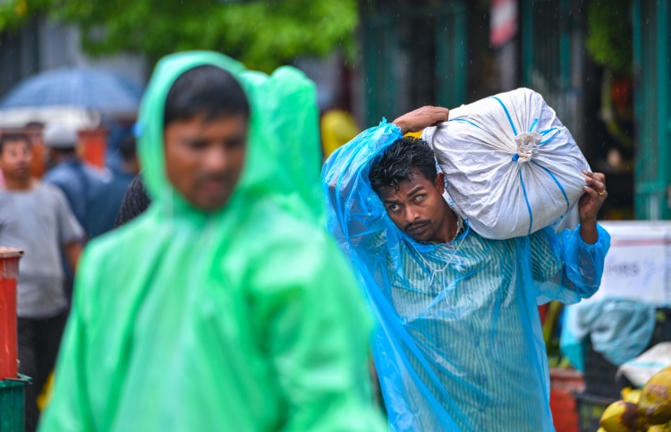 ދަތުރު ނުކުރެވިދާނެތީ ކާޑު ރައްކާކުރަން އެދެފި