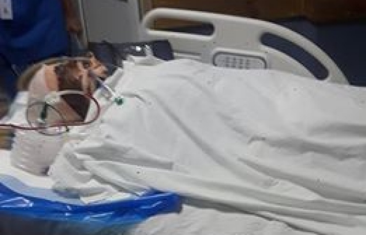 ސަމާ އައިލެންޑް އެކްސިޑެންޓުގައި އަނިޔާވި މީހަކު މަރު