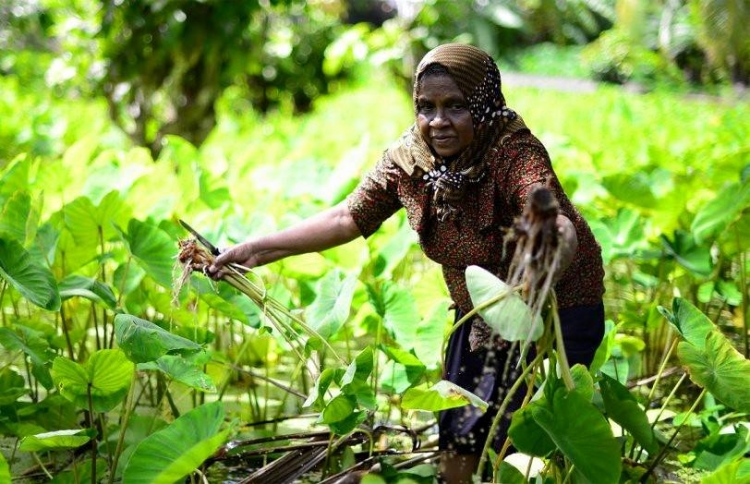 އެސްއެމްއީ ބޭންކްގެ 15 ޕަސެންޓް ހިއްސާ ސިޓީތަކަށް