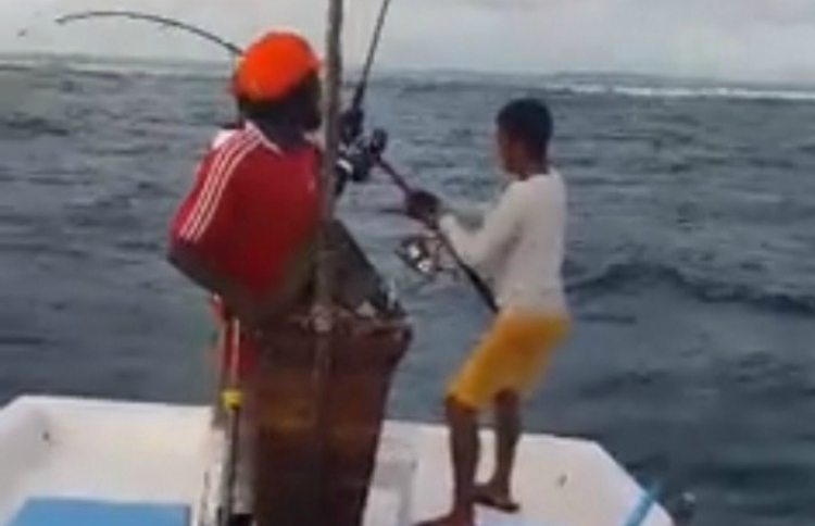 މަސް ނަގަނިކޮށް ކަނޑަށް ވެއްޓުނު ވީޑިއޯ މަޝްހޫރުވެއްޖެ