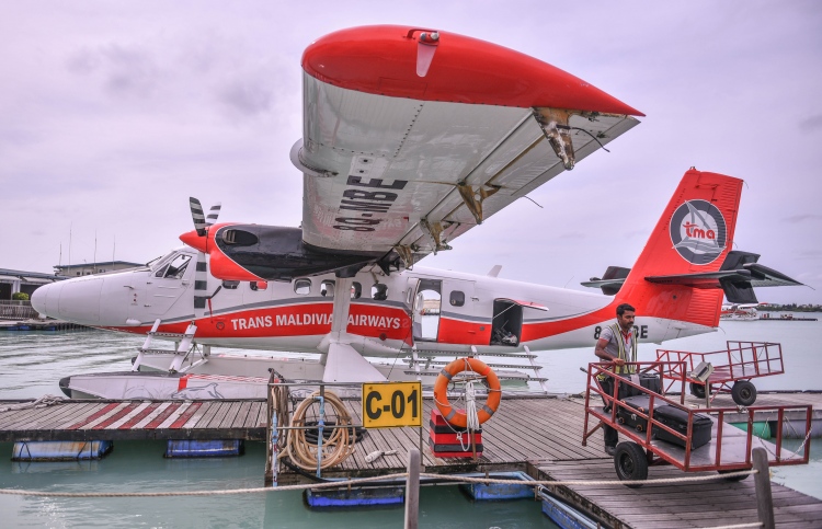 ޓާމިނަލް ދޭން އުޅުނީ ގެއްލުމުގައި، ޖިނާއީ ތަހުގީގެއް