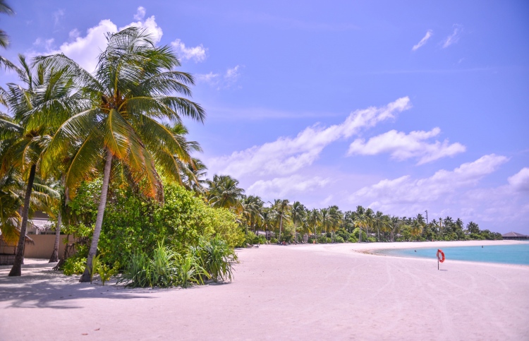 ރާއްޖެ އާދެވޭނީ ކޮވިޑް ޓެސްޓު ނެގެޓިވް ވުމުން