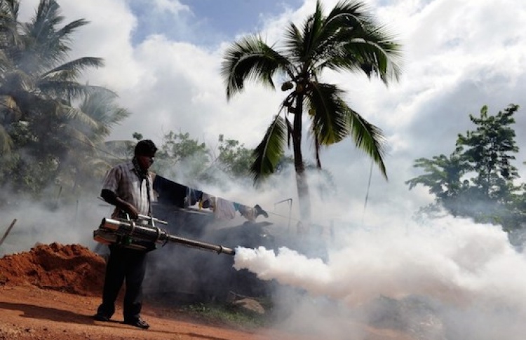 ރާއްޖޭން ނައްތާލާފައިވާ މެލޭރިއާގެ ކޭސްއެއް ފެނިއްޖެ