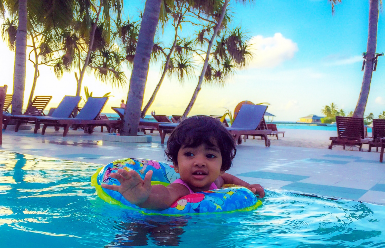 ކުޑަ ކުއްޖަކު ސަން އައިލެންޑް ރިސޯޓުގެ ޕޫލެއްގައި--. ފޮޓޯ: ނިޝާން އަލީ /މިހާރު