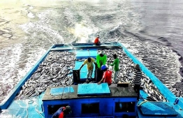 Fishermen of GA.Gemanafushi pictured at sea. PHOTO/FACEBOOK