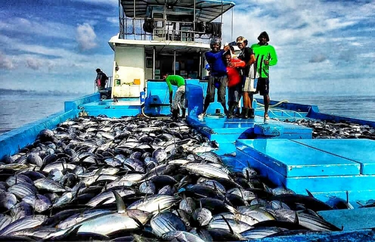 ސަރުކާރުން ދޯނި ބަނދެ ދޫކުރަން ހުށަހަޅައިފި