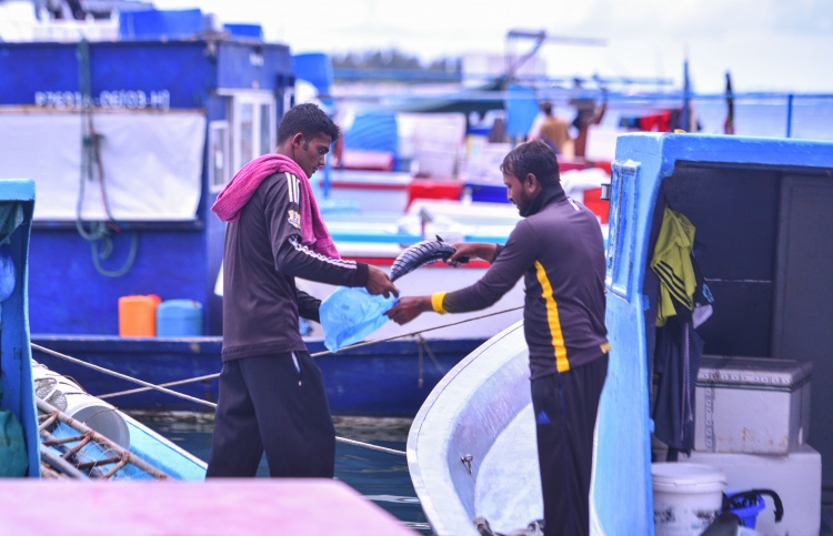 ބިދޭސީންގެ މައްސަލަ ހައްލުކޮށް ދިނުމަށް އެދި ޕެޓިޝަނެއް