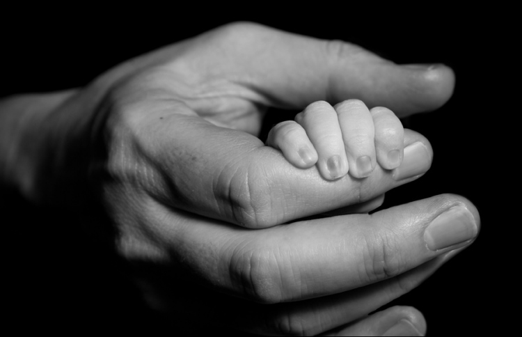 އެއްމާބަނޑު 4: ހަމަ އެ މީހުން އެދިއެދި ތިބި އަދަދު